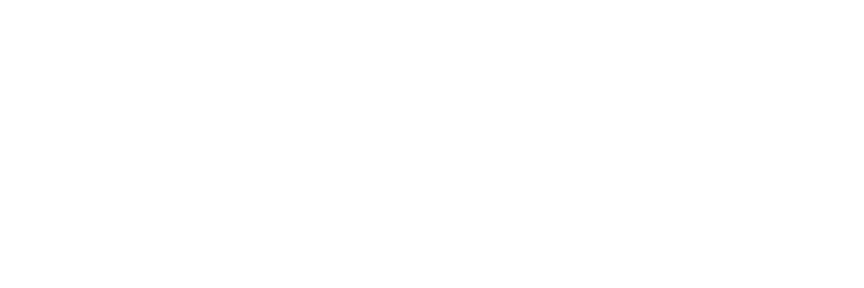 LevelFeed AI Studio